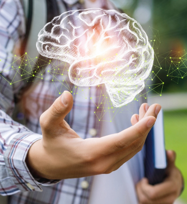 Executive functioning program tmb